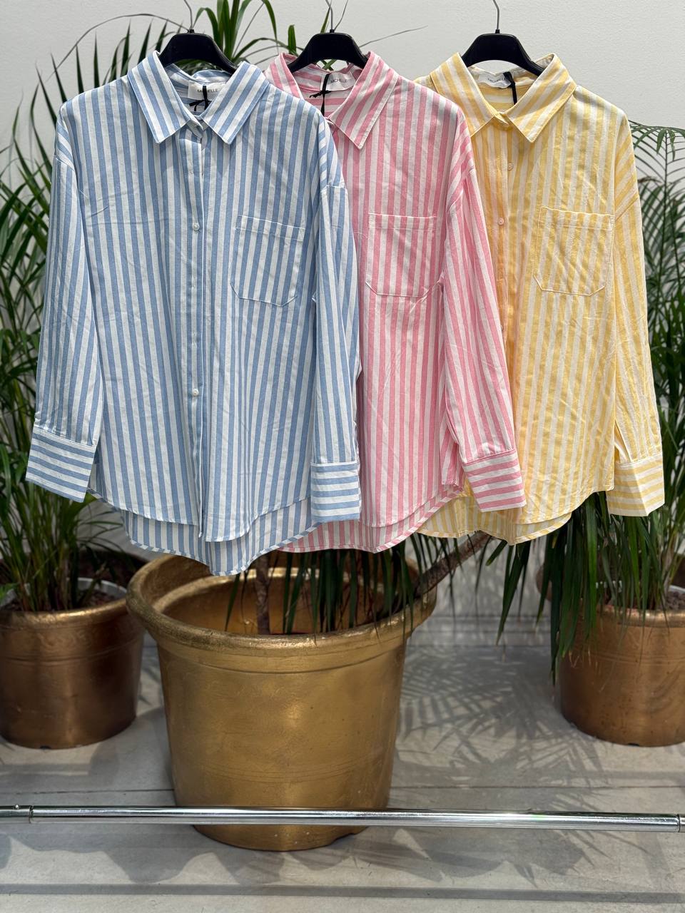 Фото Amelie Follies (Michelle)