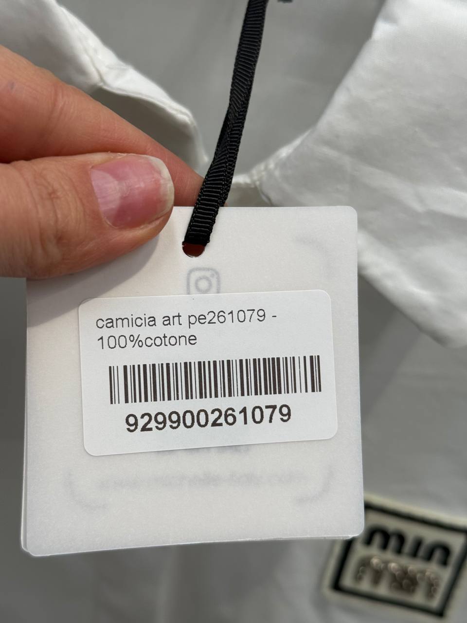 Фото Amelie Follies (Michelle)