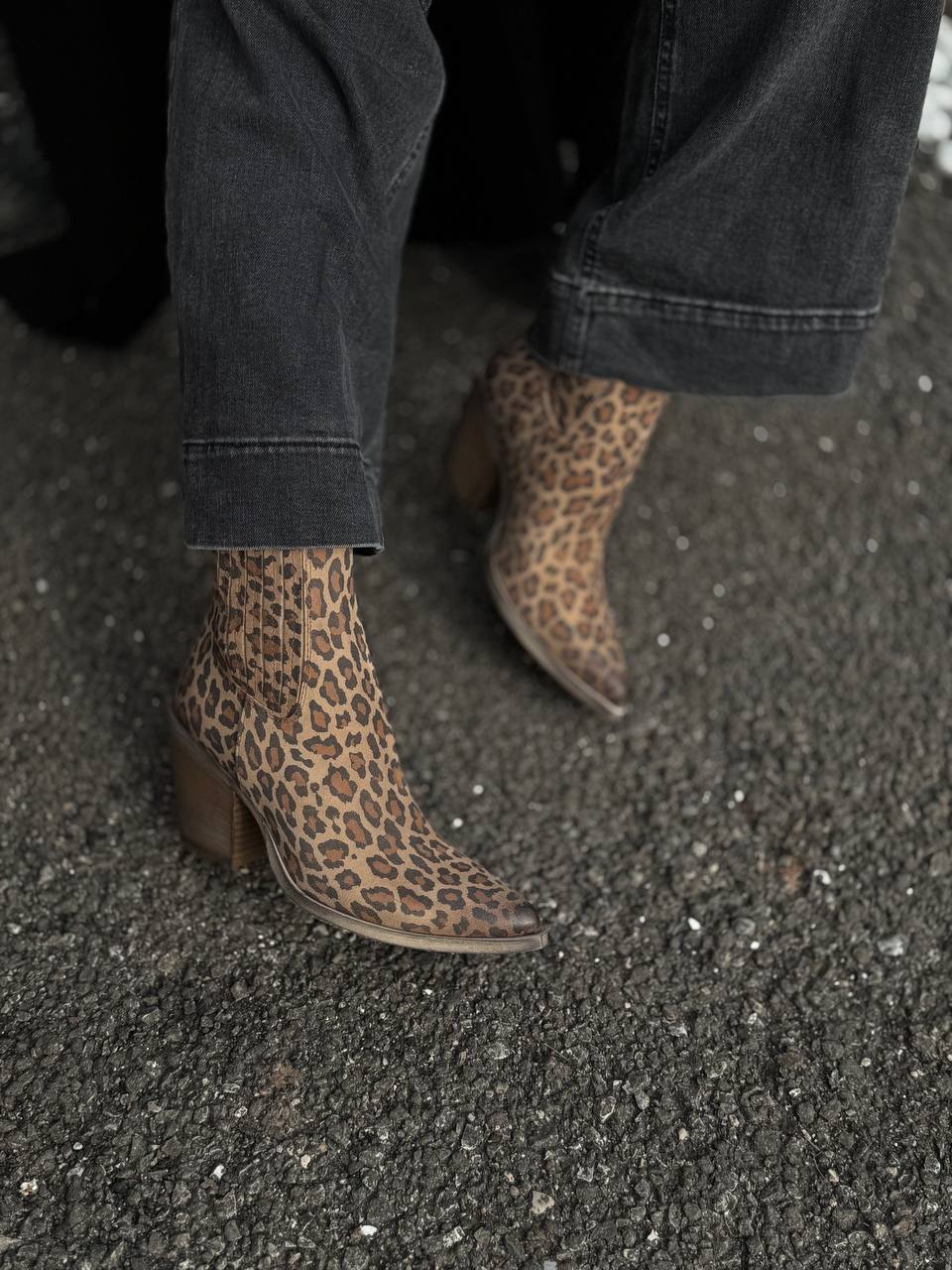 Фото Federica Lancioni