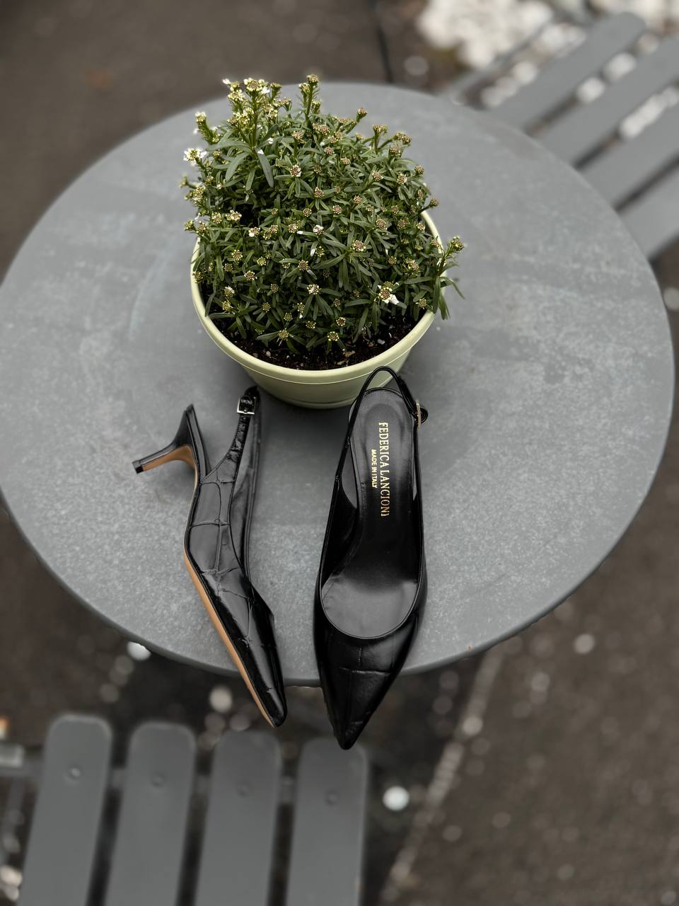 Фото Federica Lancioni