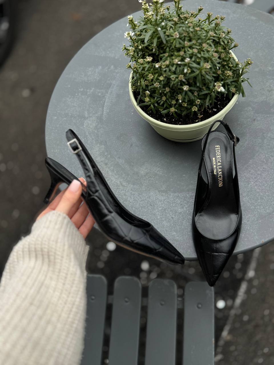 Фото Federica Lancioni