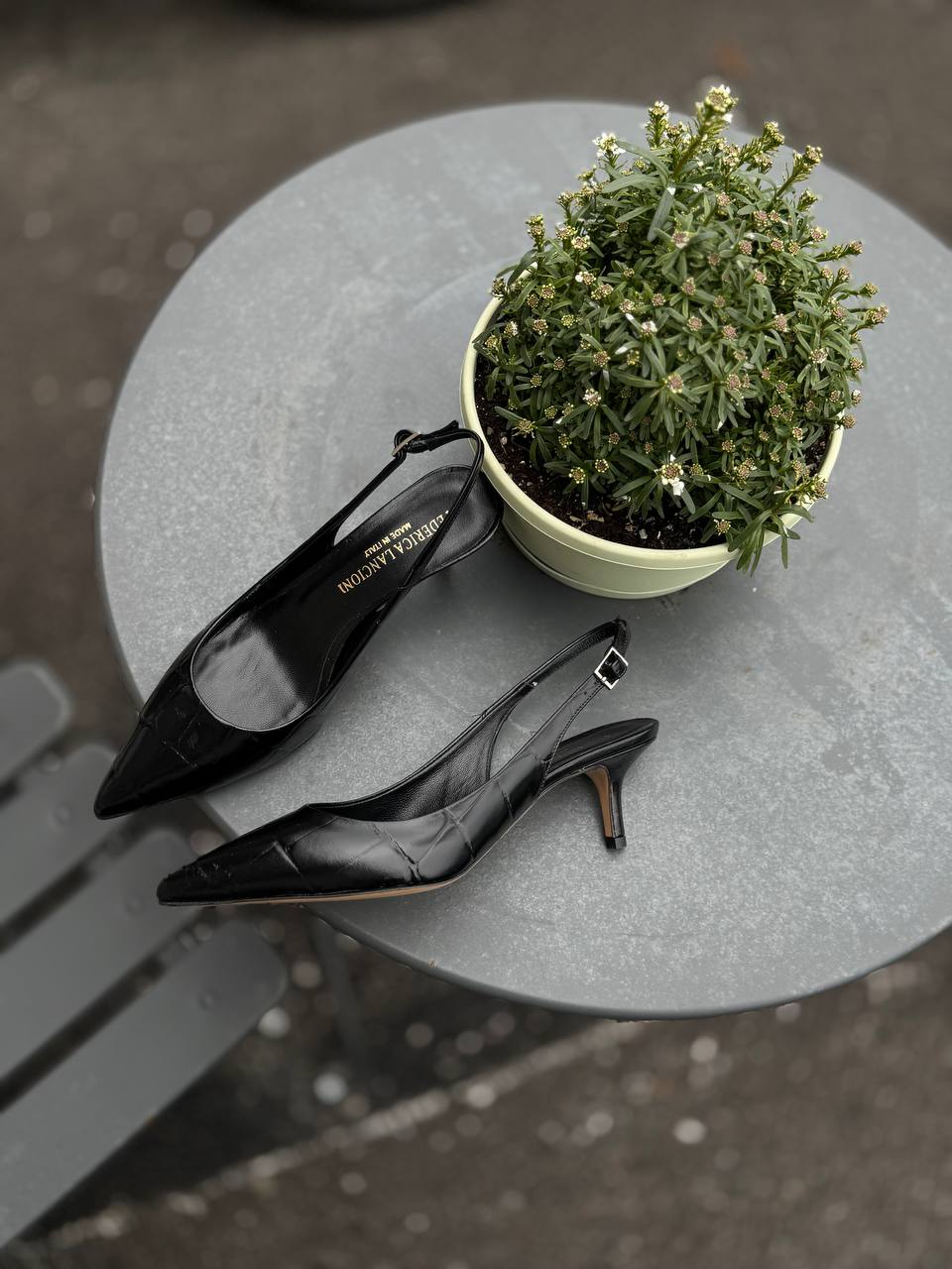 Фото Federica Lancioni