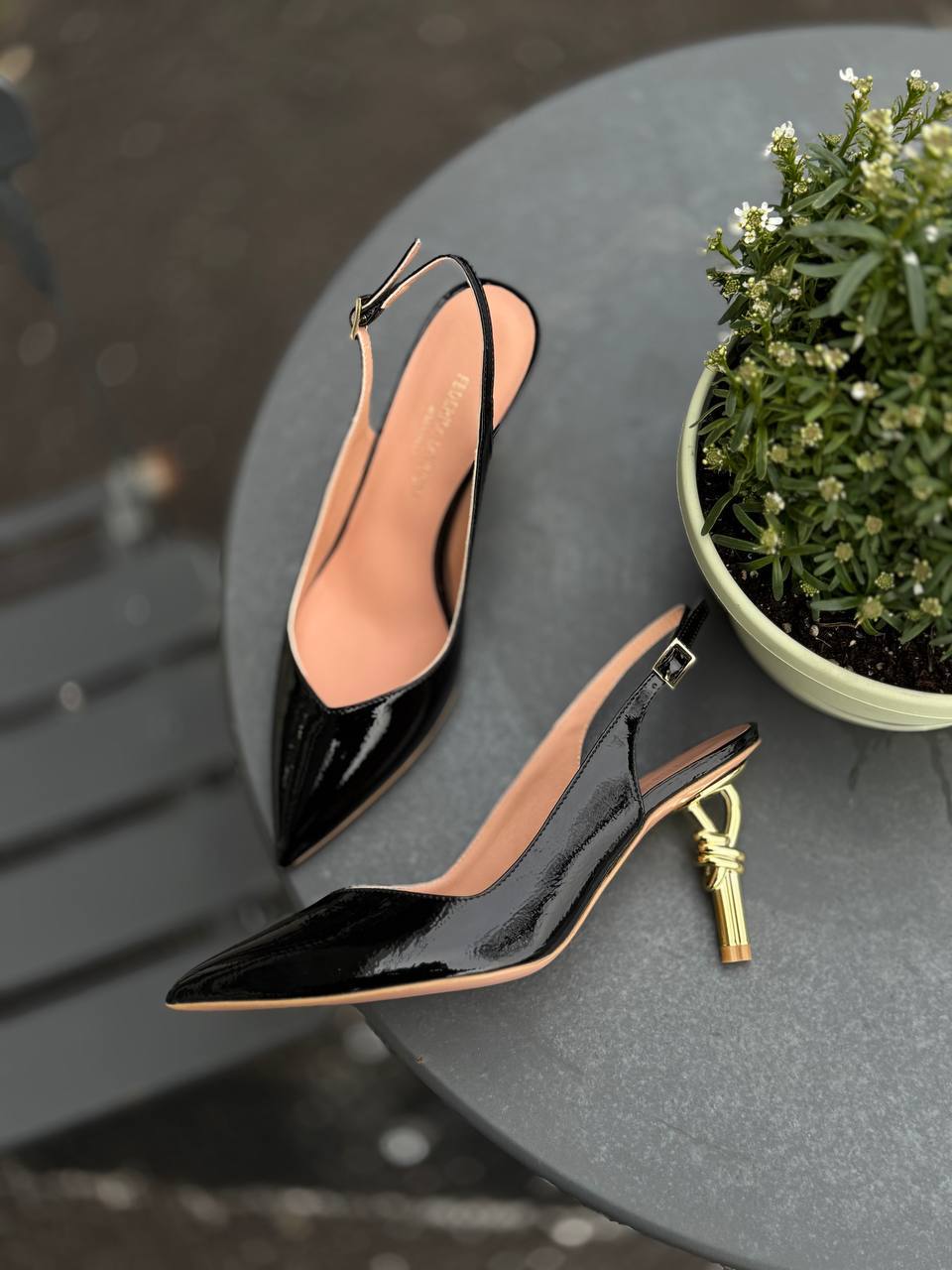 Фото Federica Lancioni