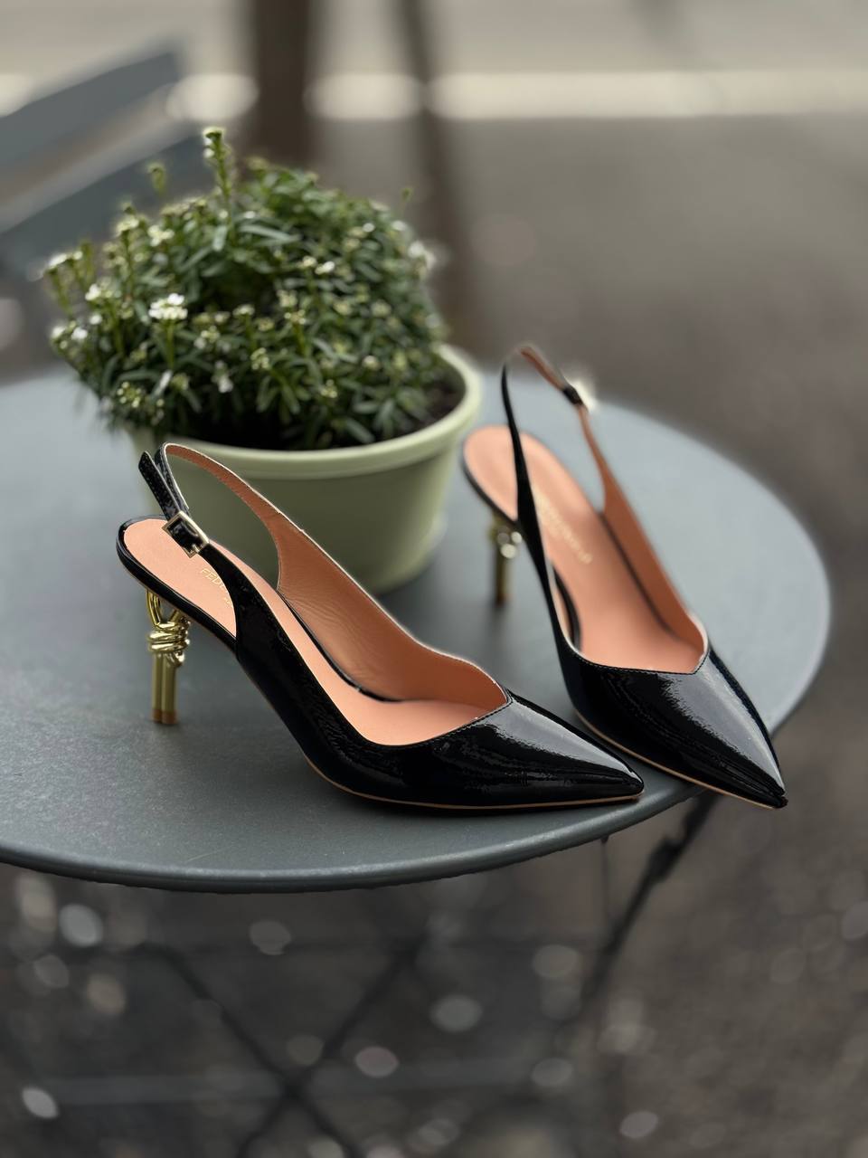 Фото Federica Lancioni