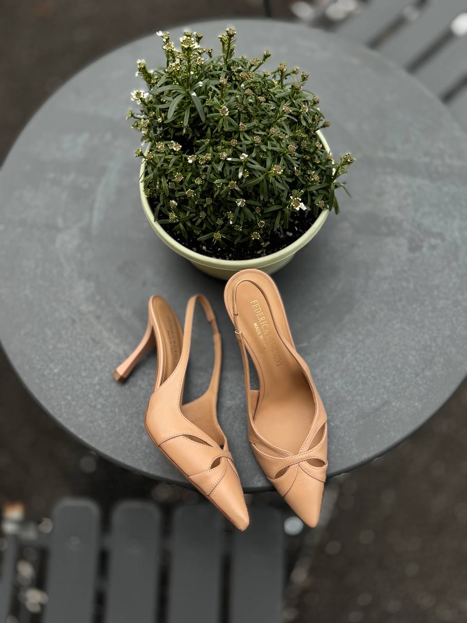 Фото Federica Lancioni