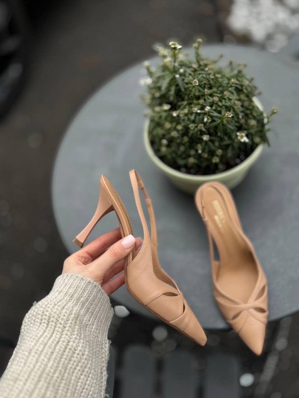 Фото Federica Lancioni