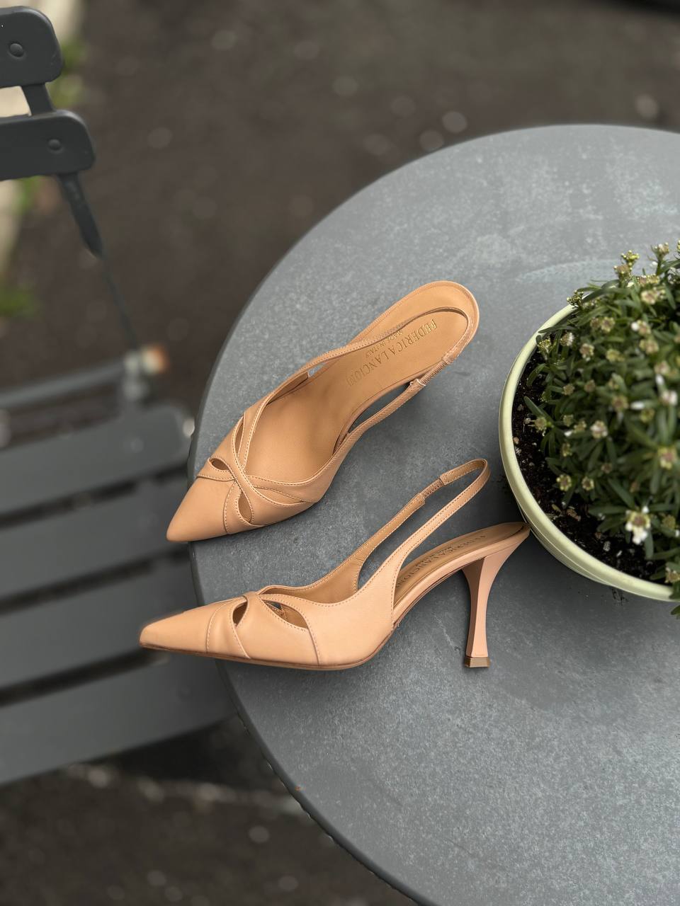 Фото Federica Lancioni