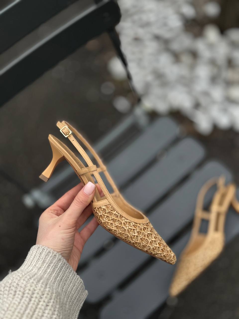 Фото Federica Lancioni