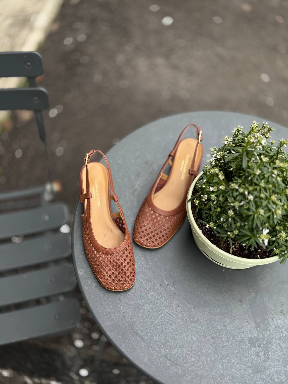 Фото Federica Lancioni