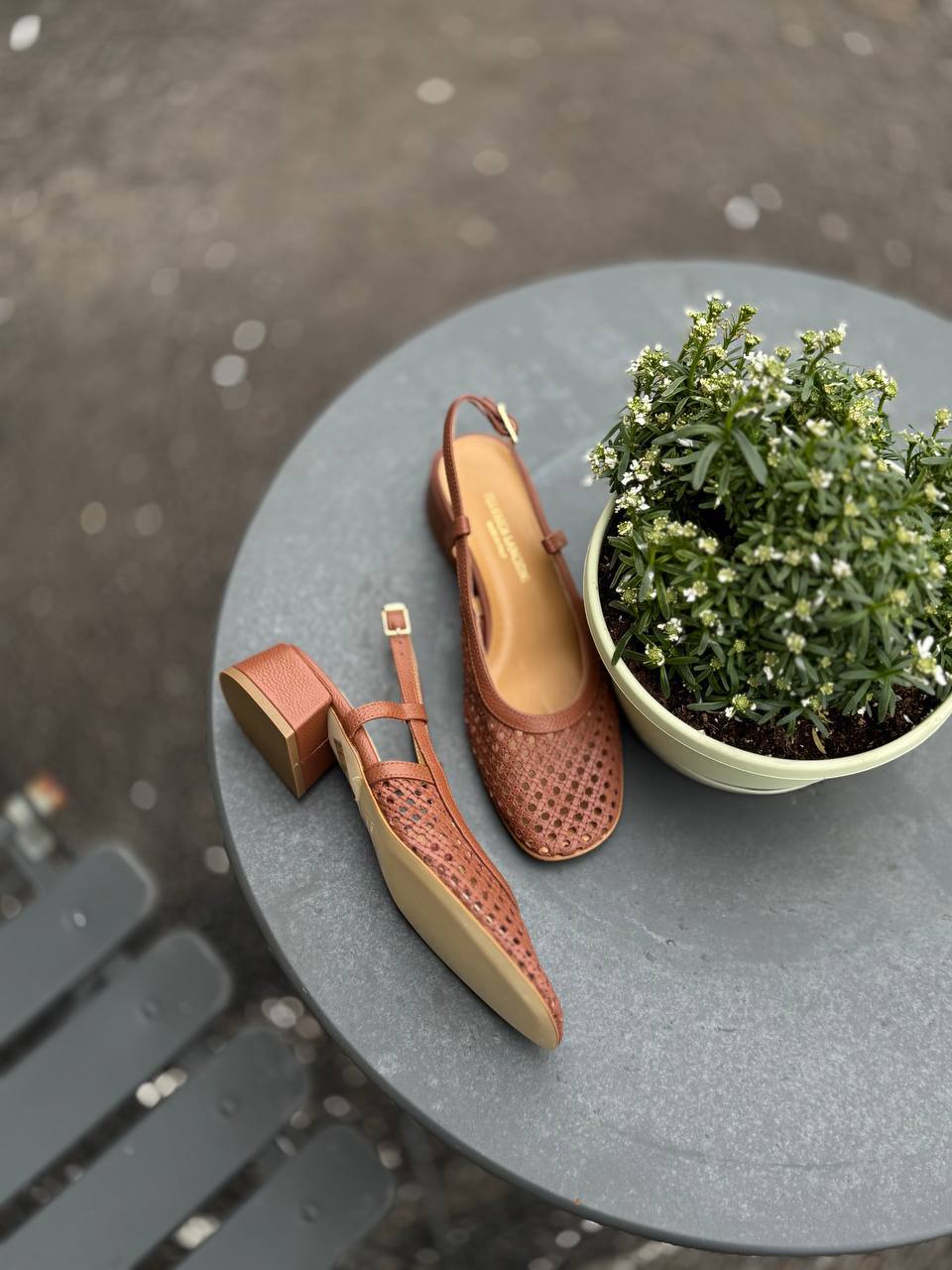 Фото Federica Lancioni