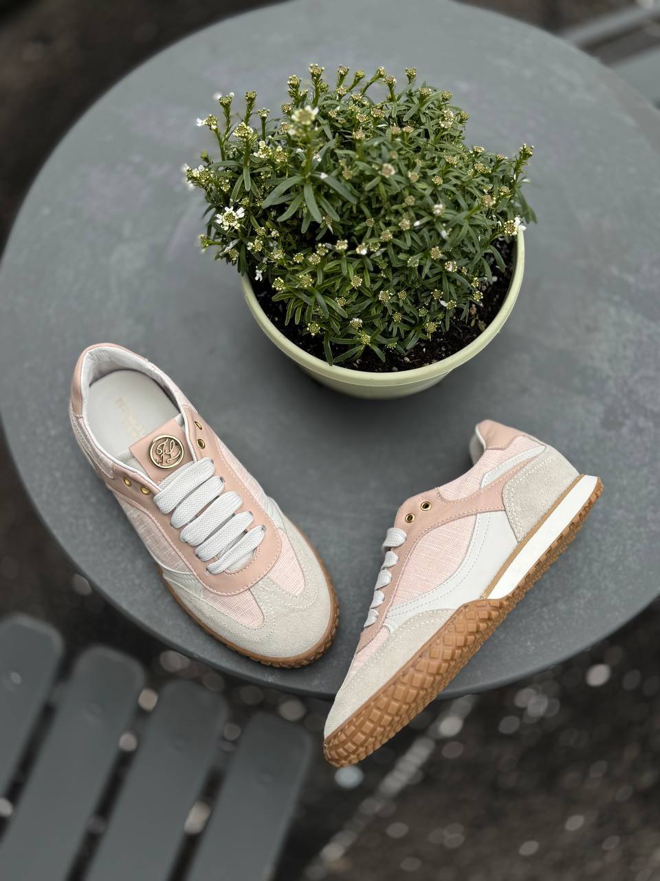 Фото Federica Lancioni