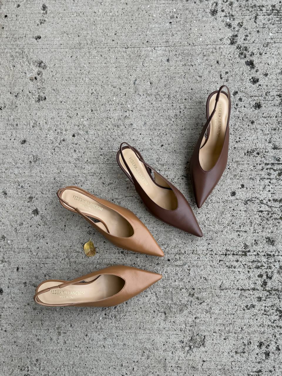 Фото Federica Lancioni