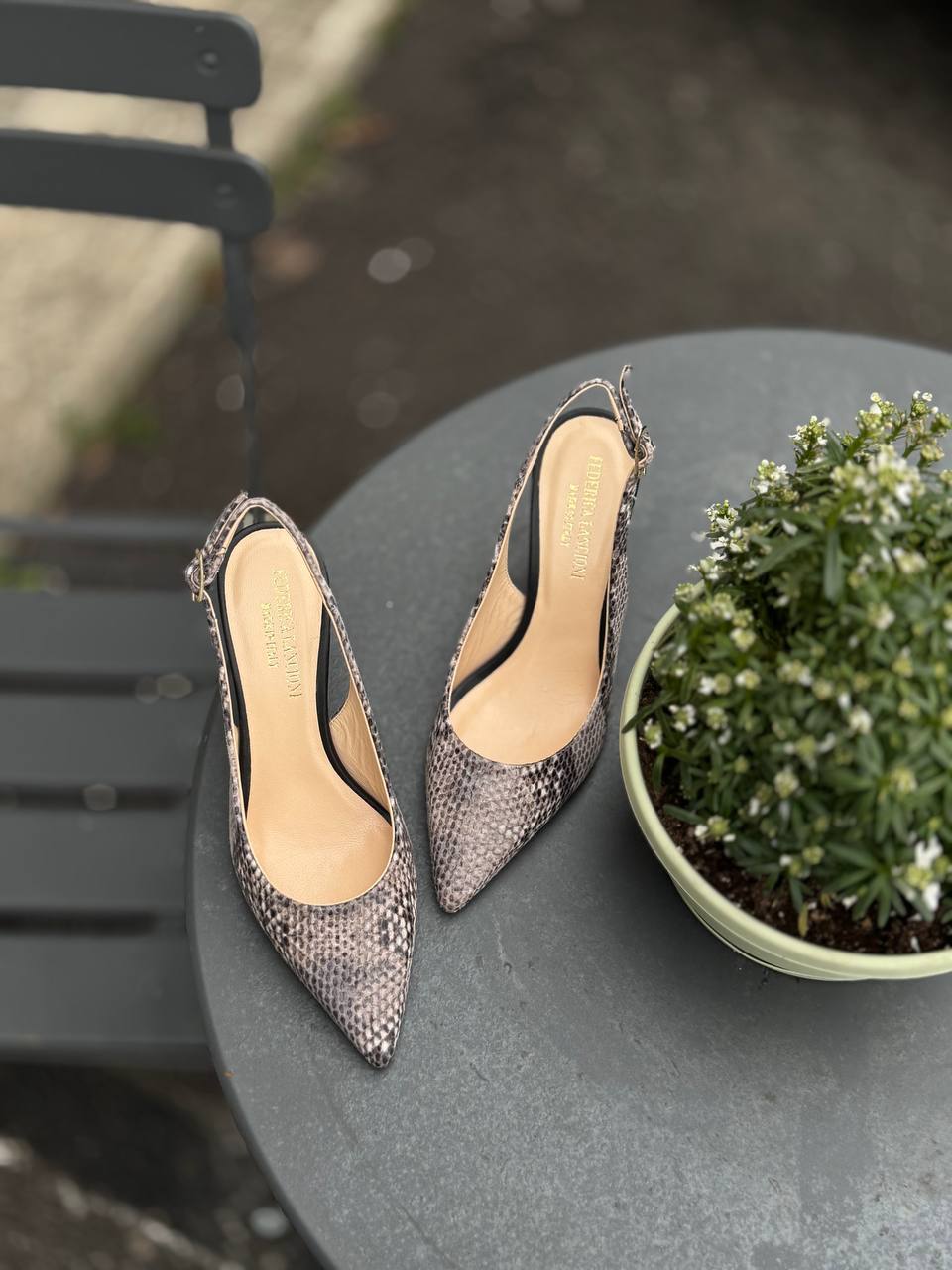 Фото Federica Lancioni