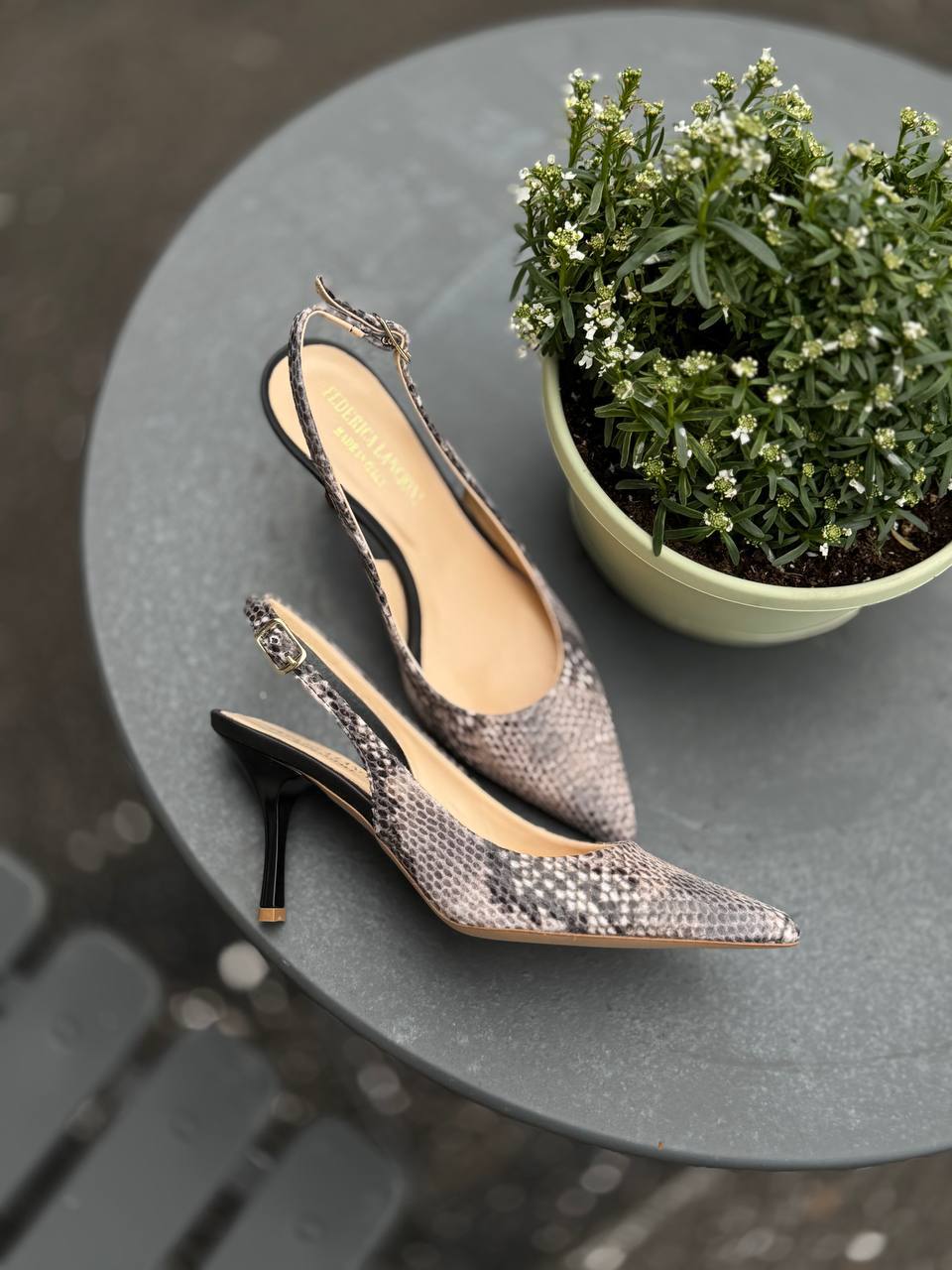 Фото Federica Lancioni