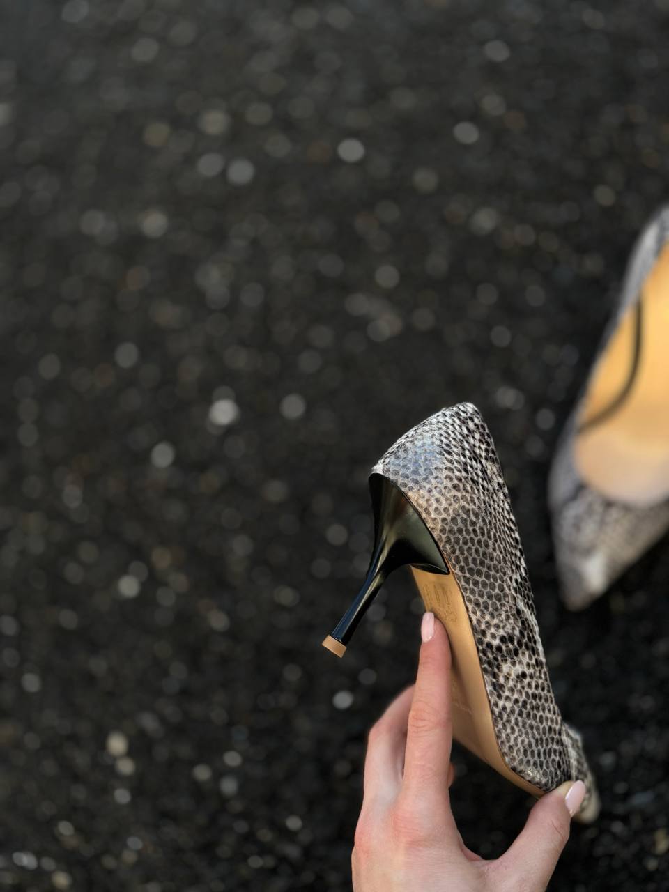 Фото Federica Lancioni