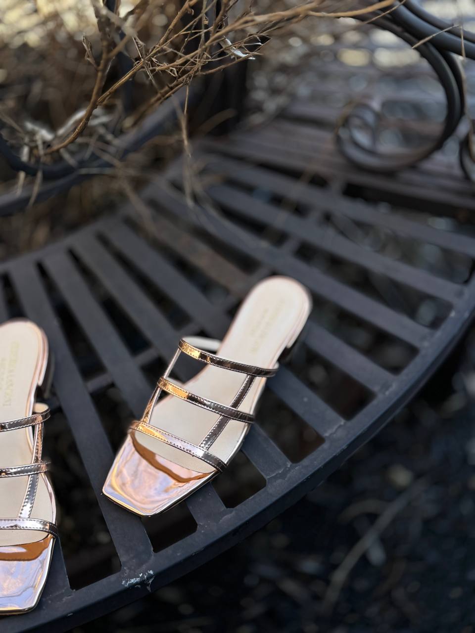 Фото Federica Lancioni