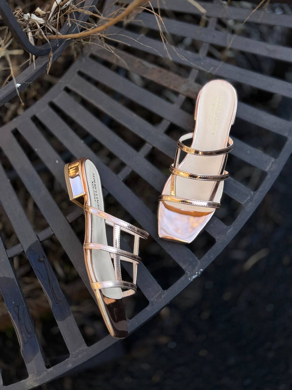 Фото Federica Lancioni