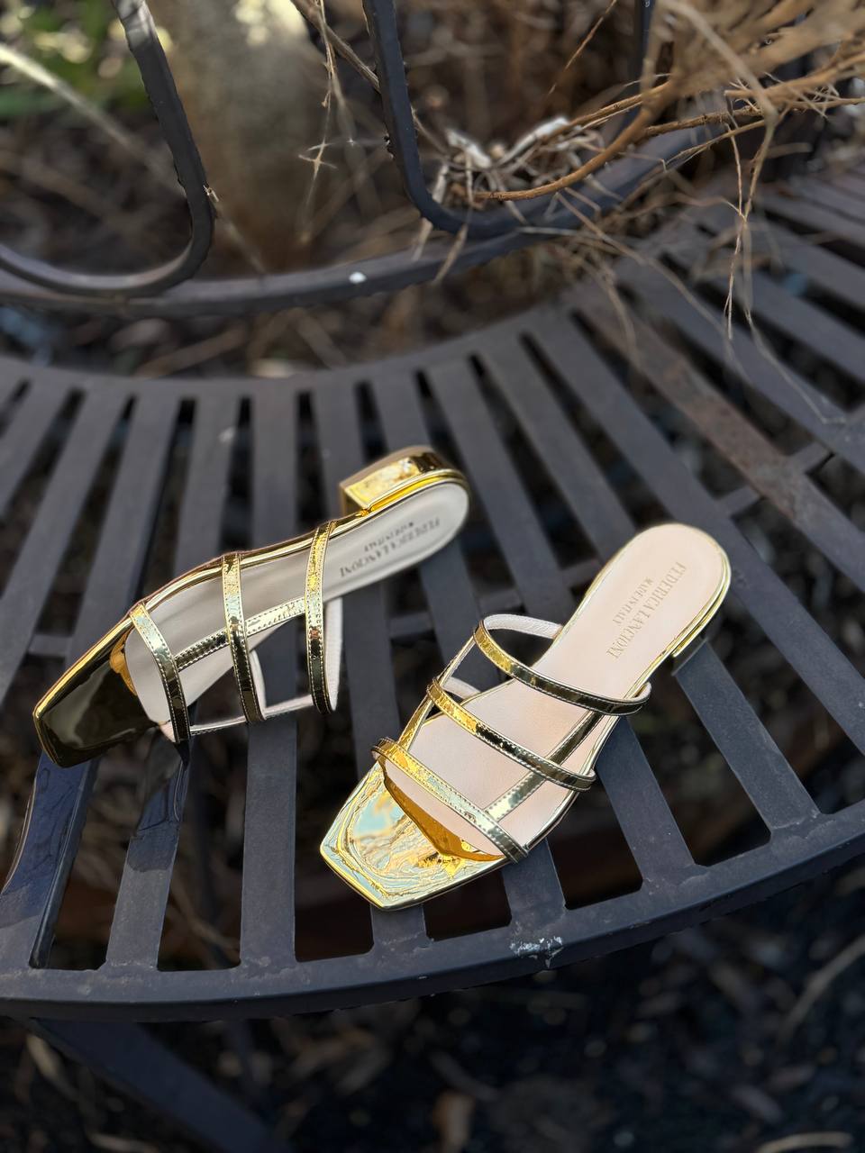 Фото Federica Lancioni