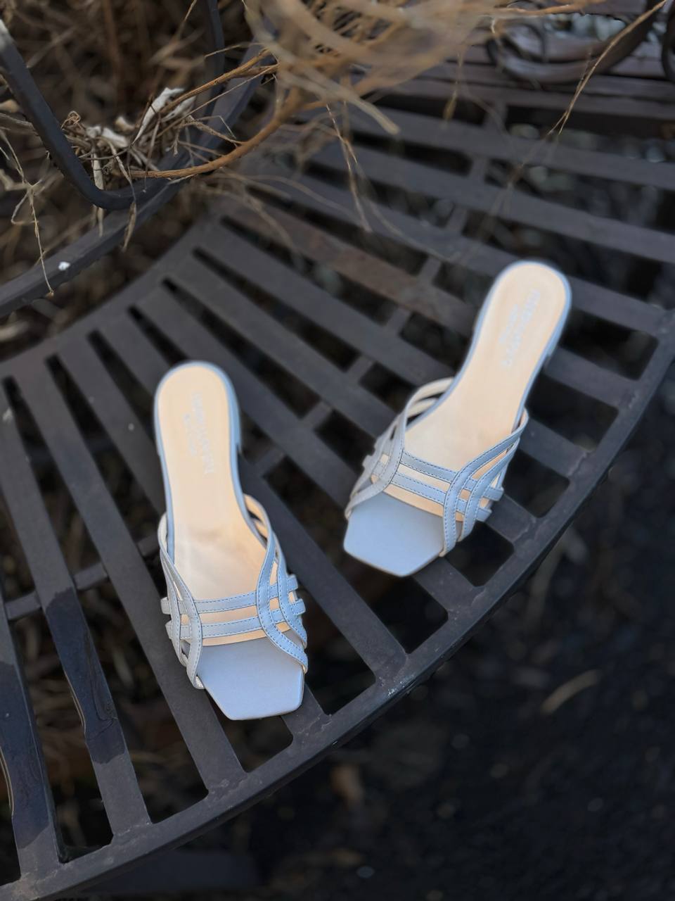 Фото Federica Lancioni