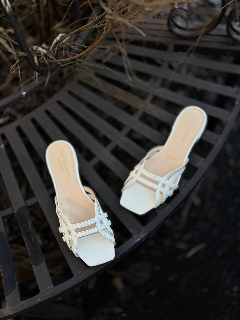 Фото Federica Lancioni