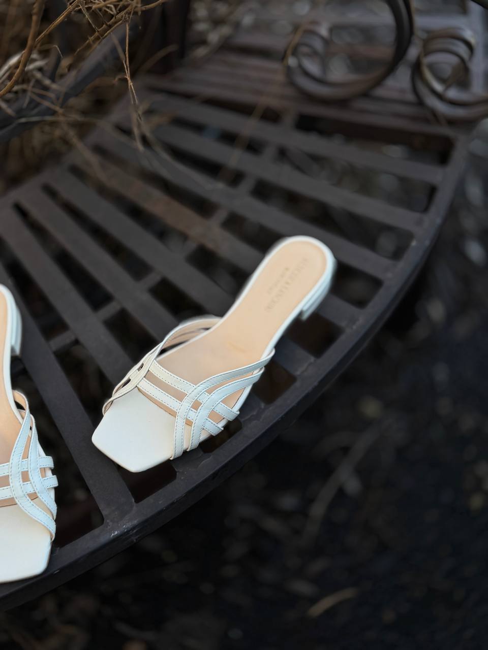 Фото Federica Lancioni