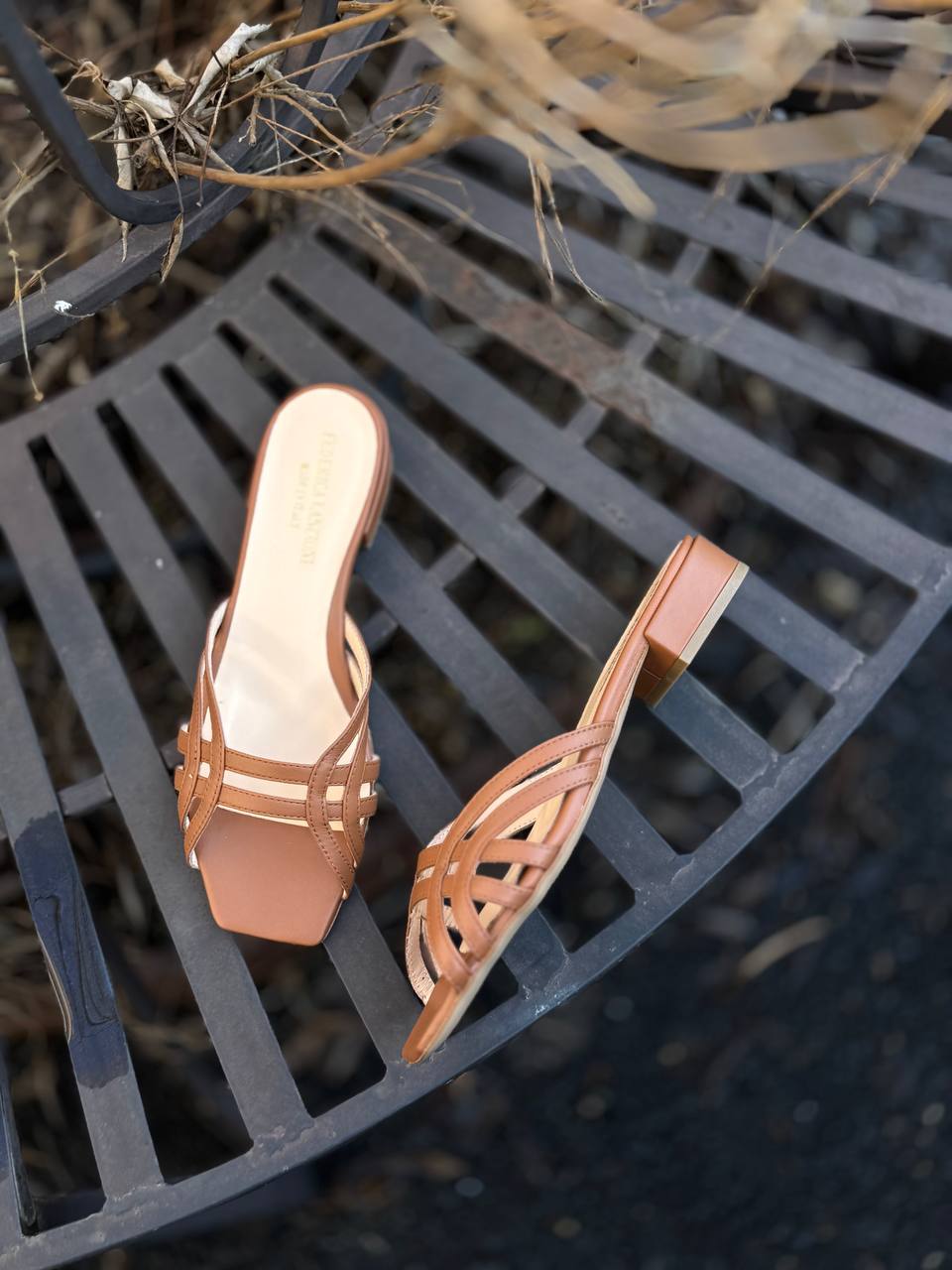 Фото Federica Lancioni