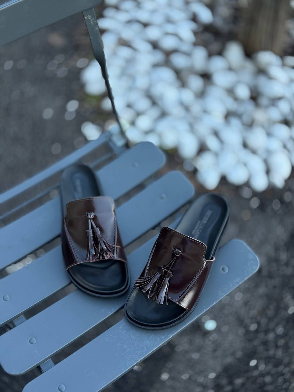 Фото Federica Lancioni