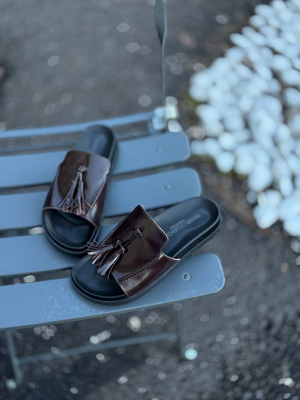 Фото Federica Lancioni