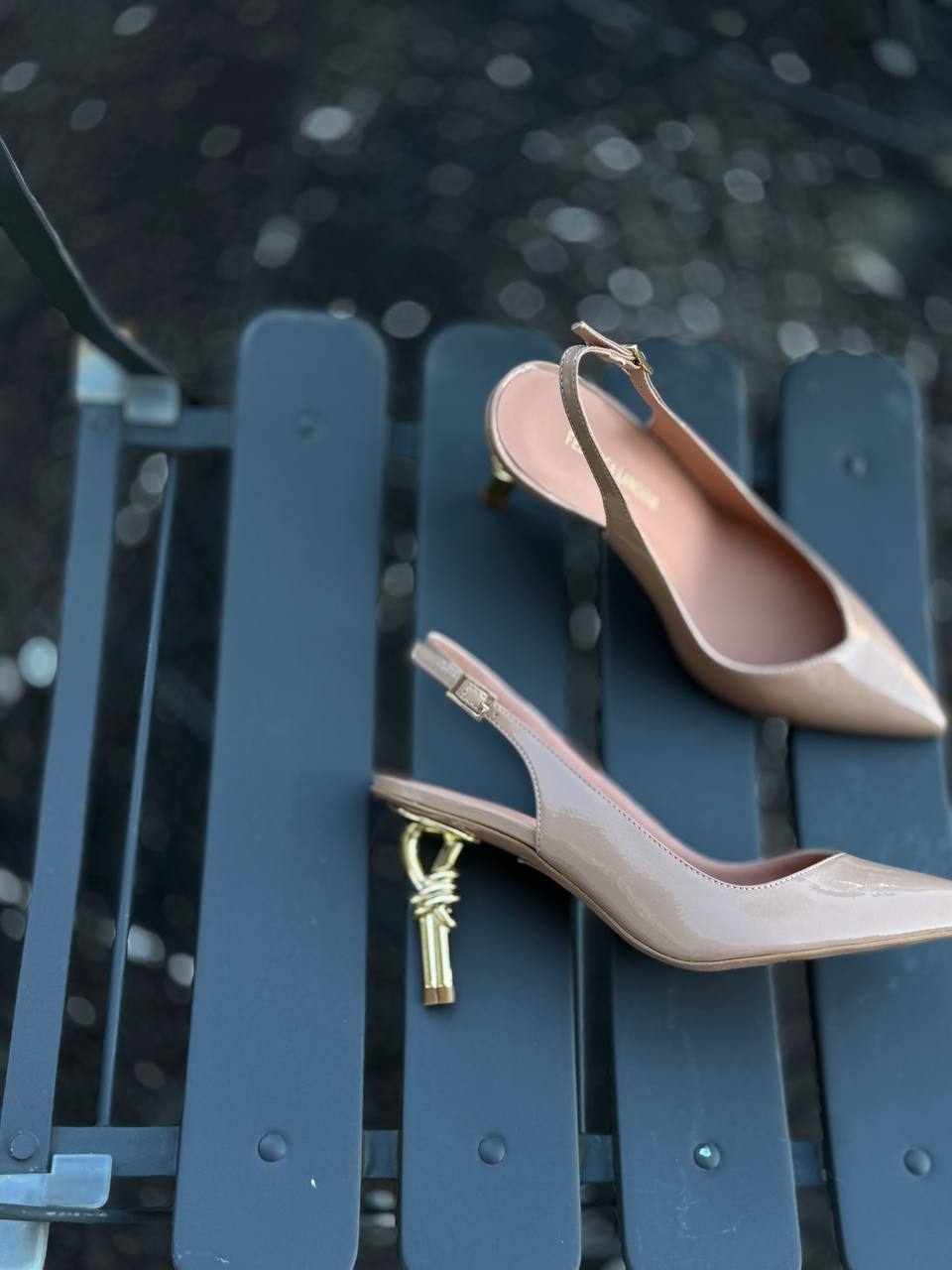 Фото Federica Lancioni