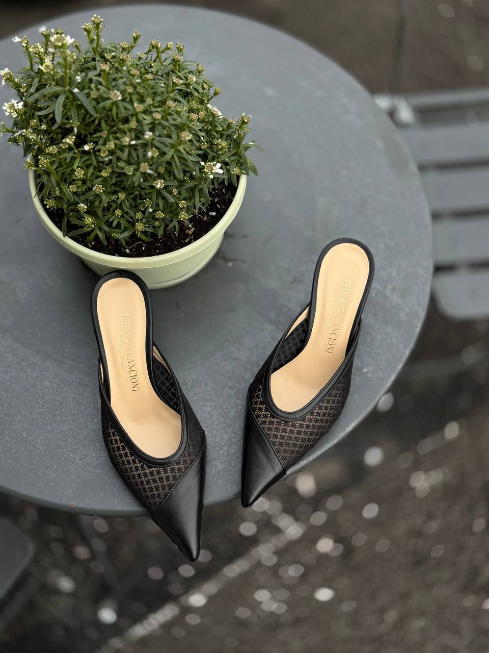 Фото Federica Lancioni