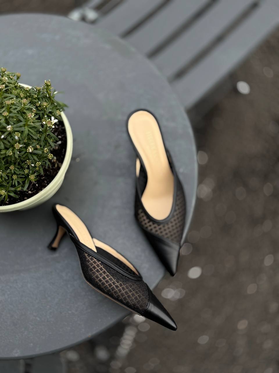 Фото Federica Lancioni