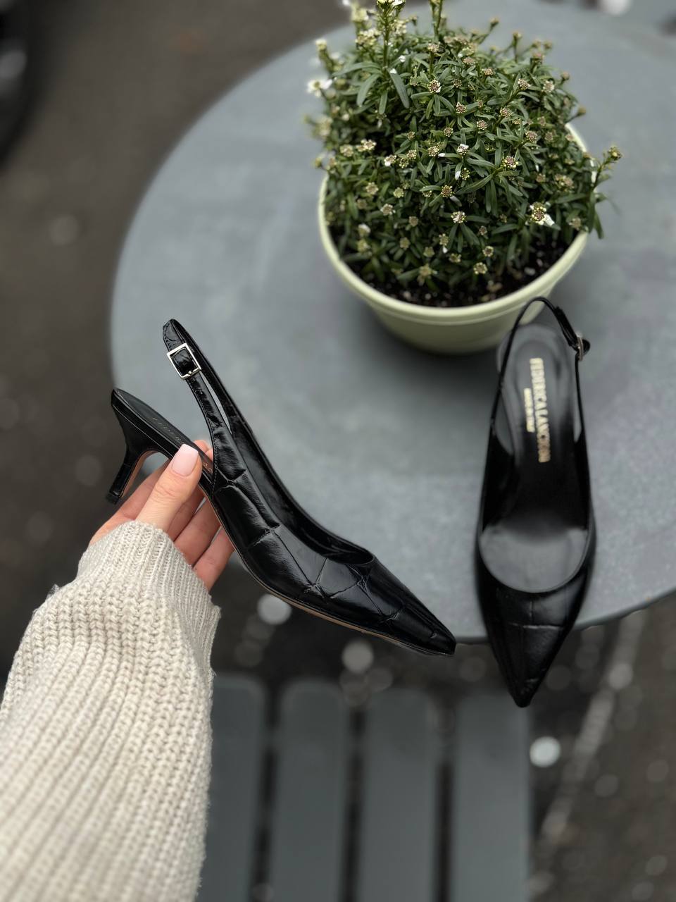 Фото Federica Lancioni