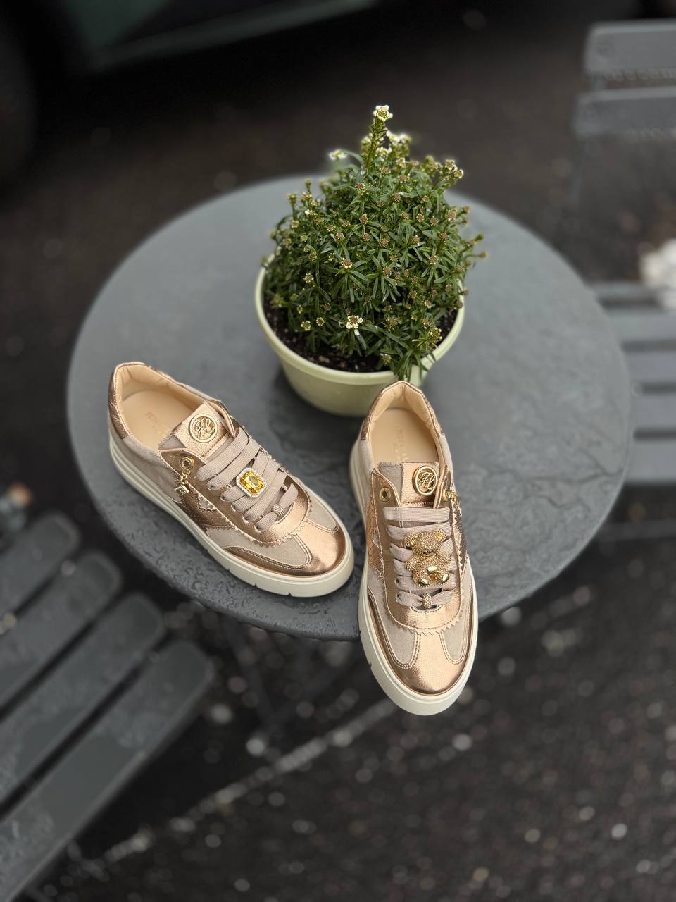 Фото Federica Lancioni