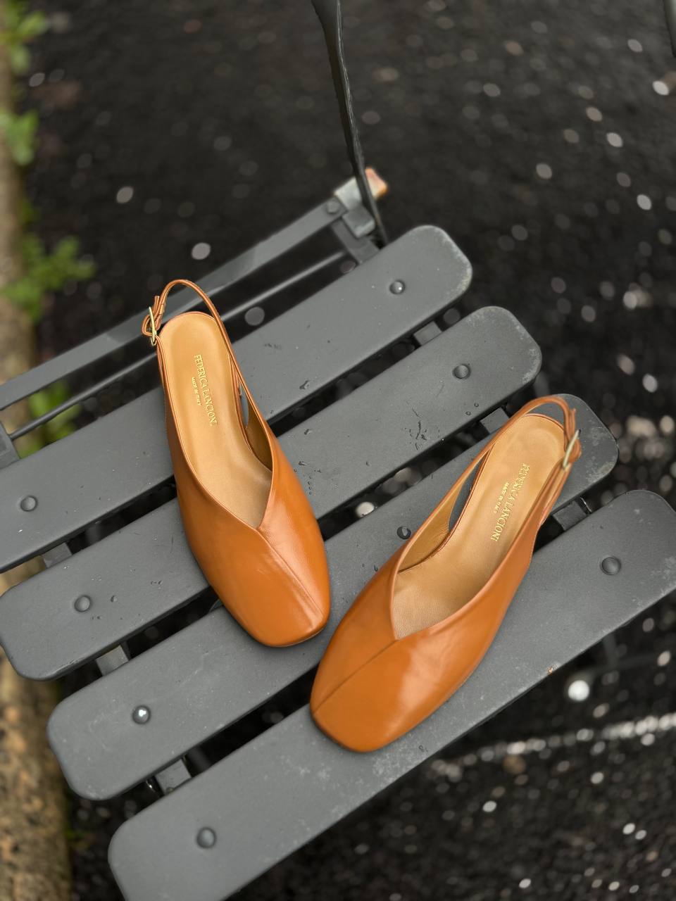 Фото Federica Lancioni