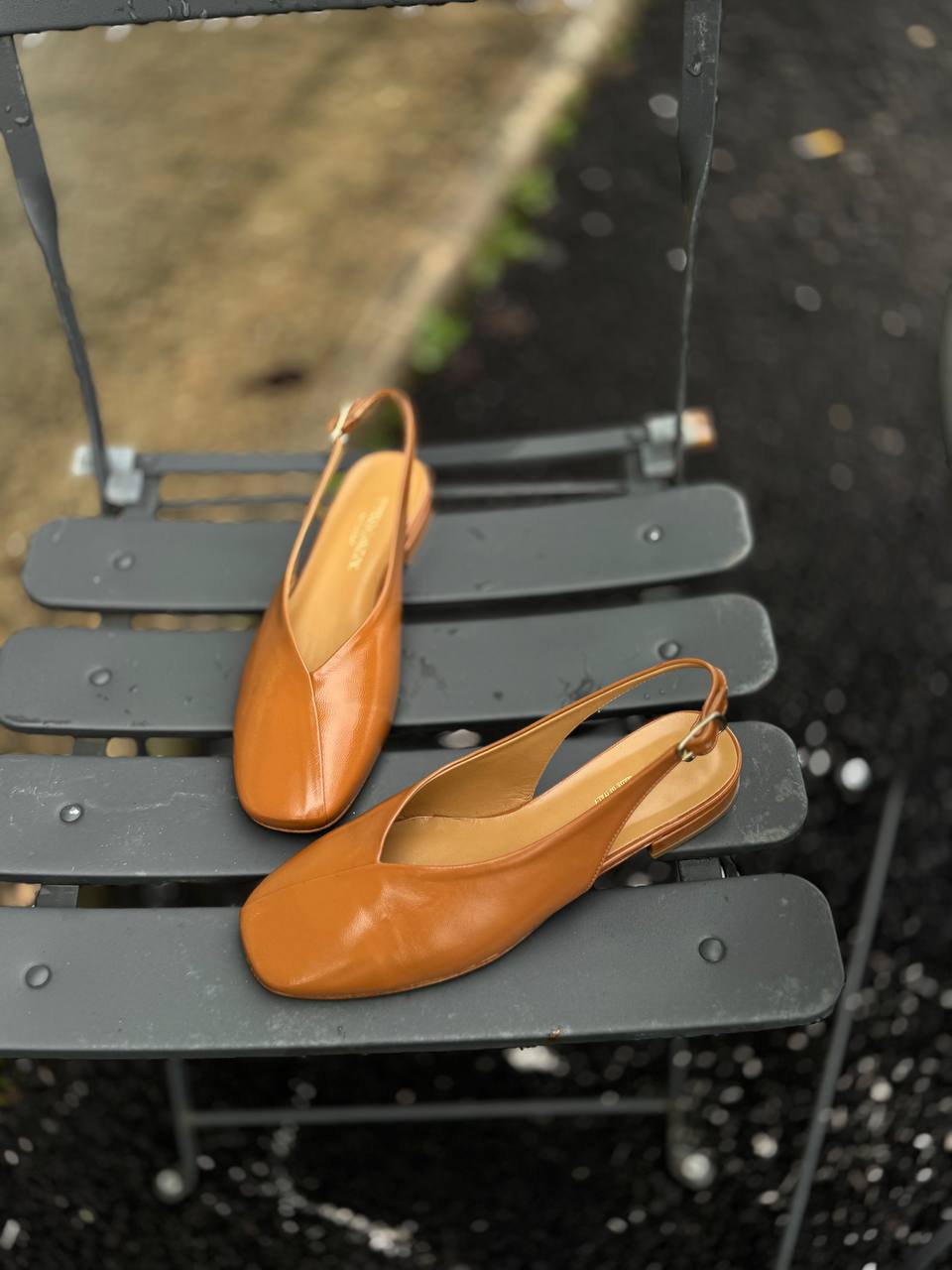 Фото Federica Lancioni