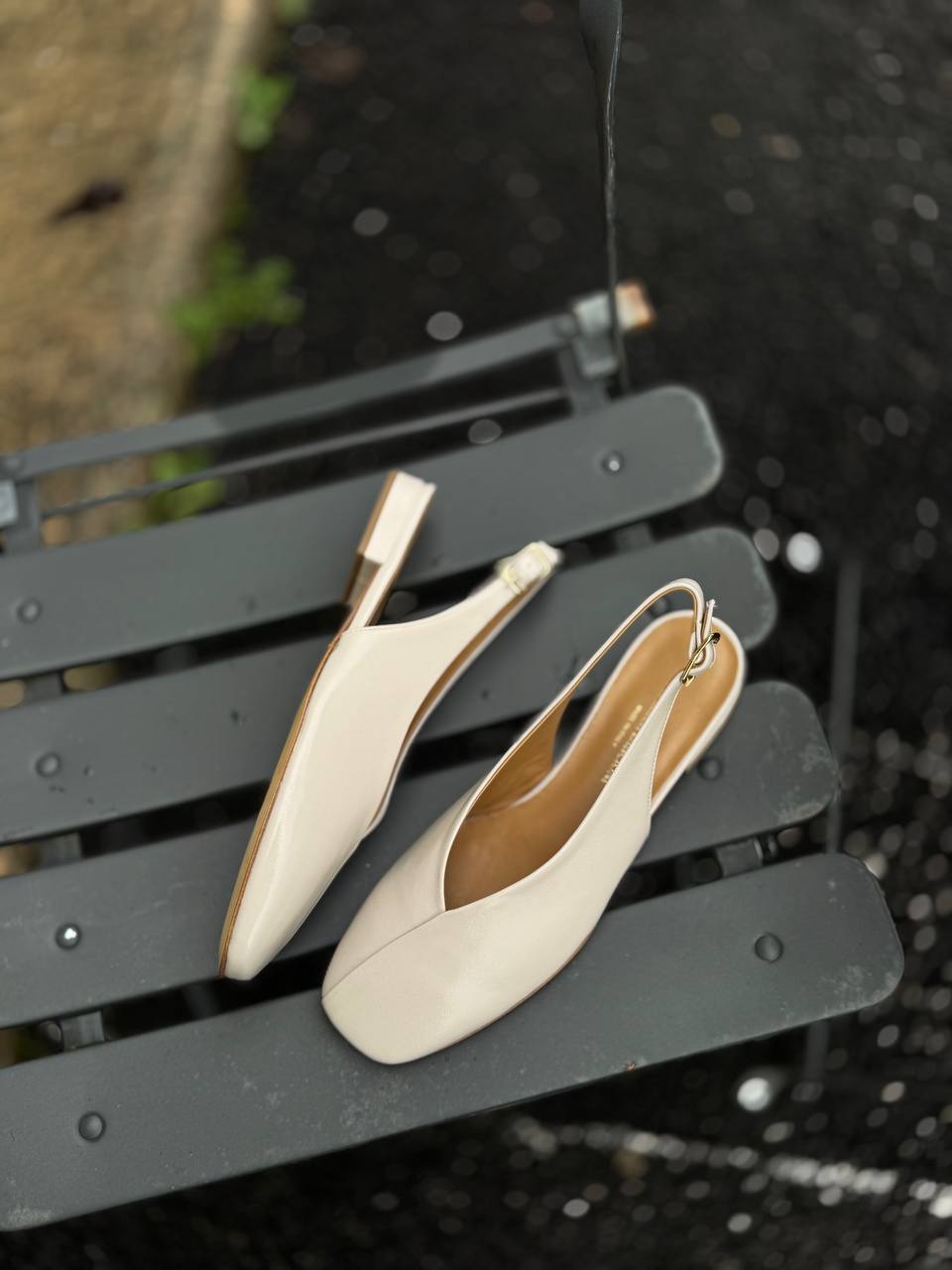 Фото Federica Lancioni