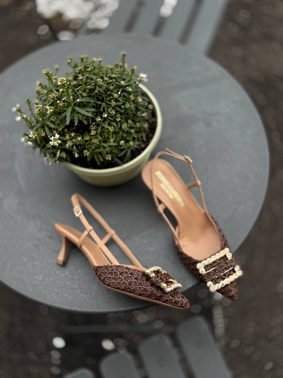 Фото Federica Lancioni