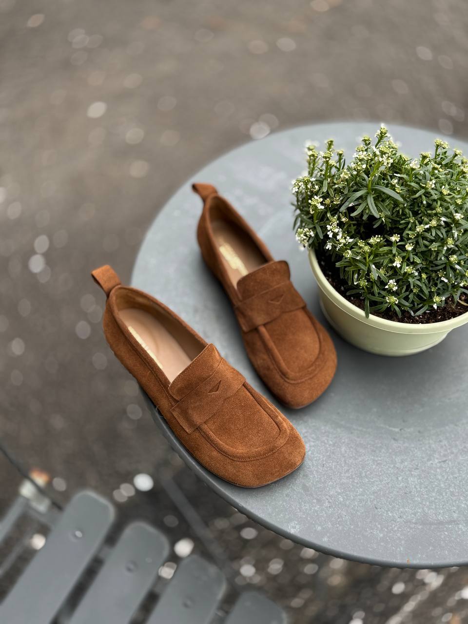 Фото Federica Lancioni