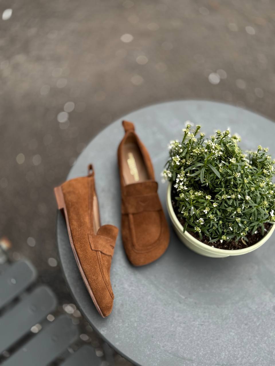 Фото Federica Lancioni