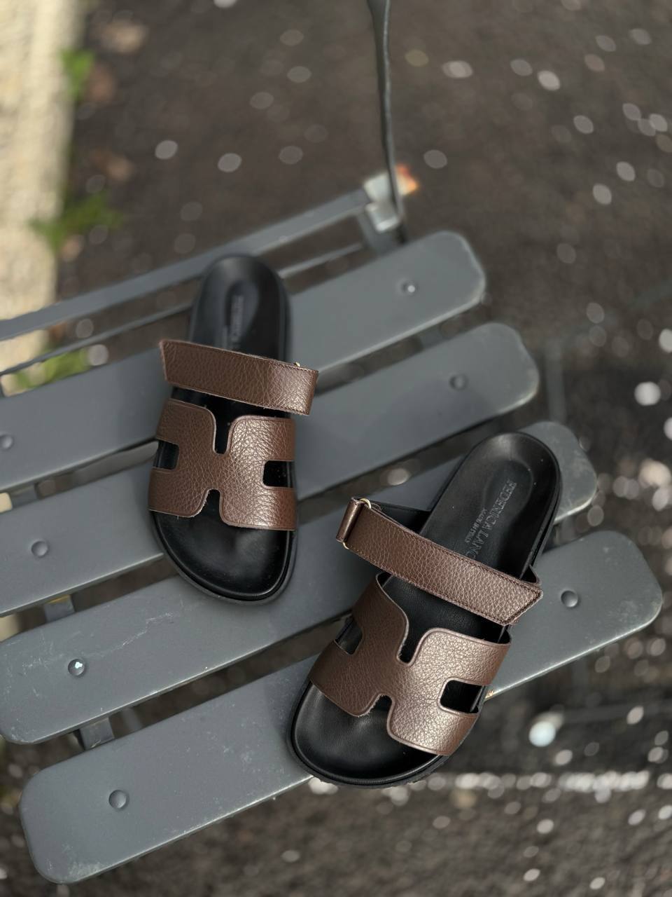 Фото Federica Lancioni