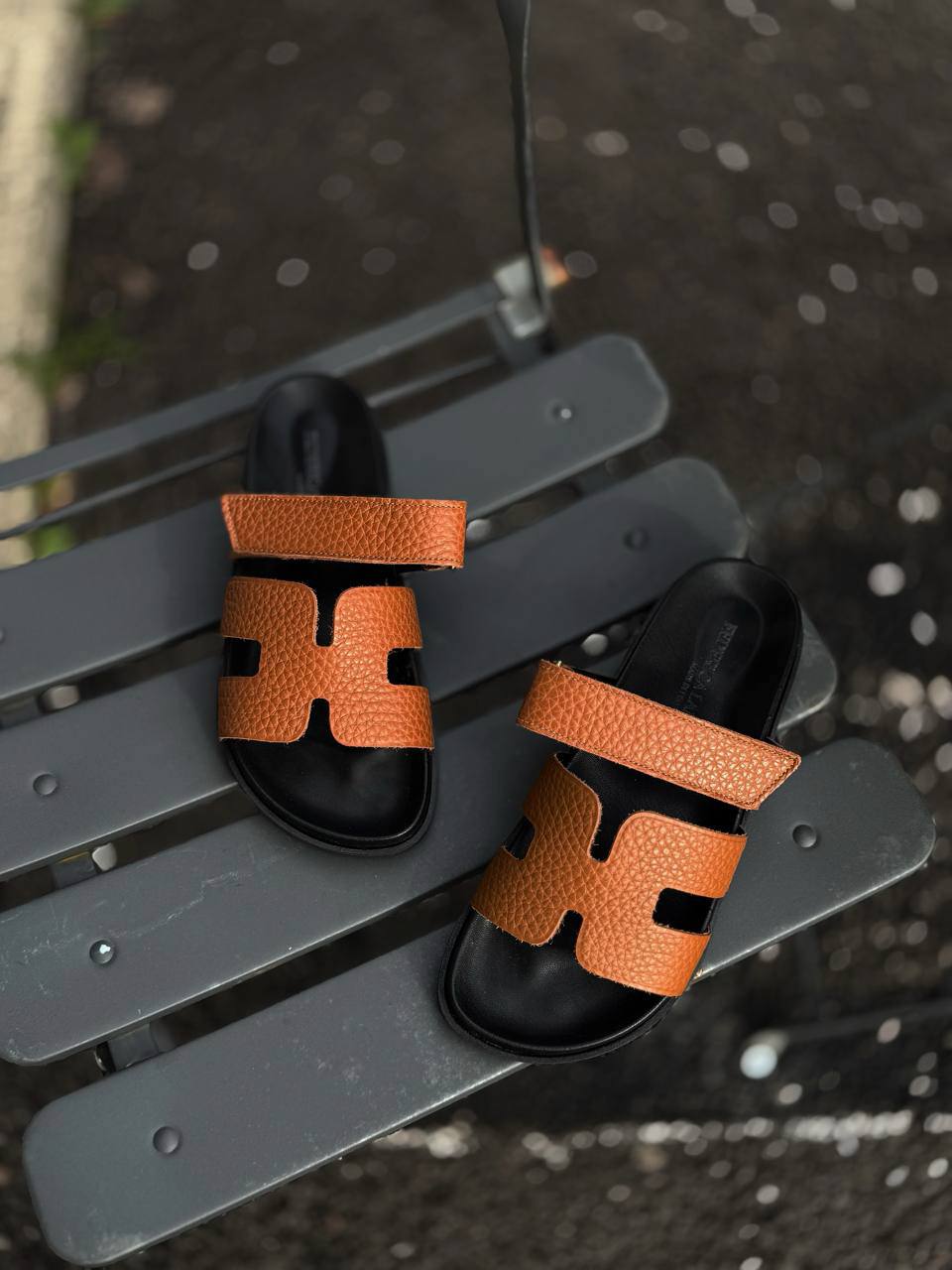 Фото Federica Lancioni