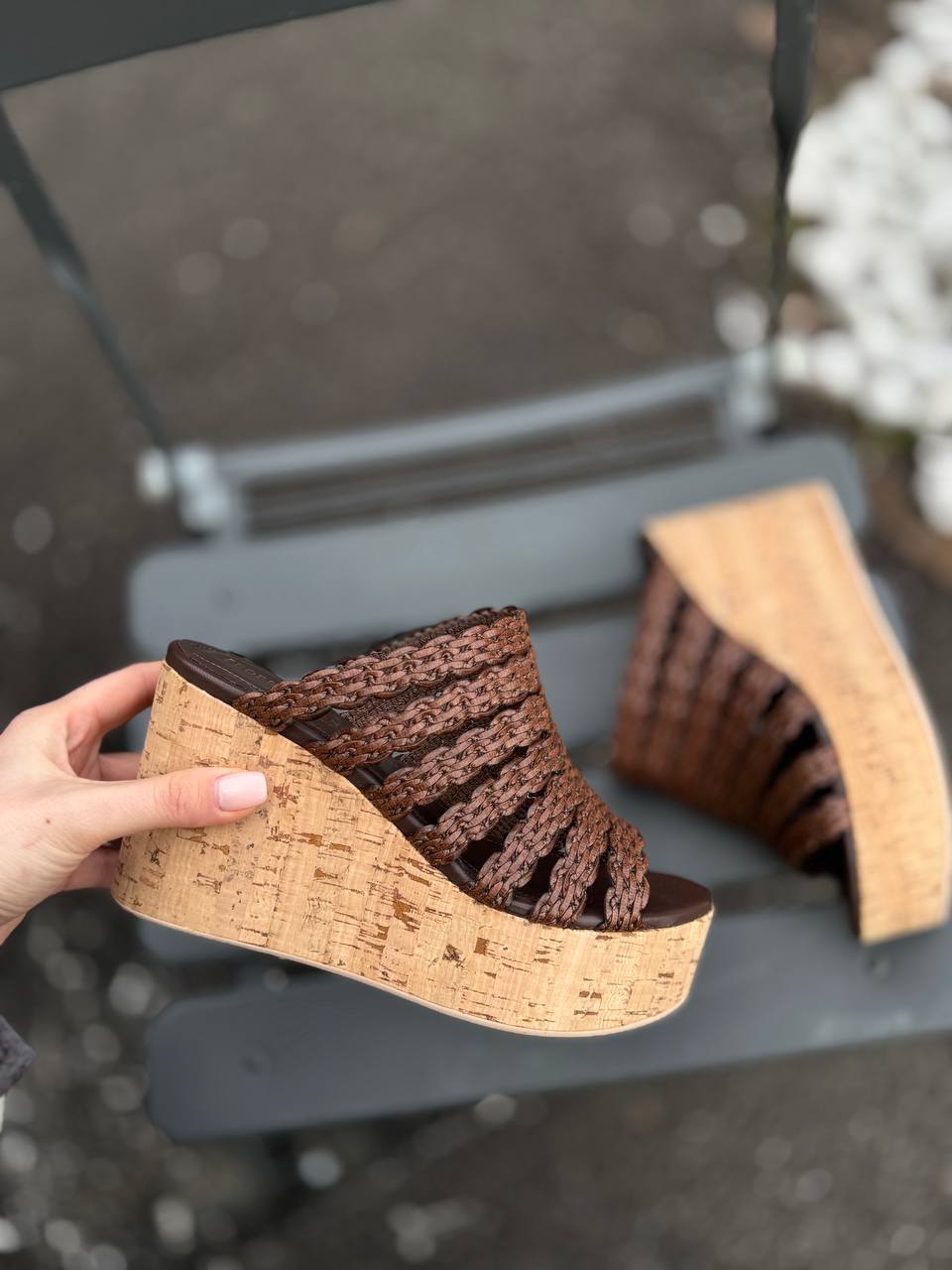 Фото Federica Lancioni