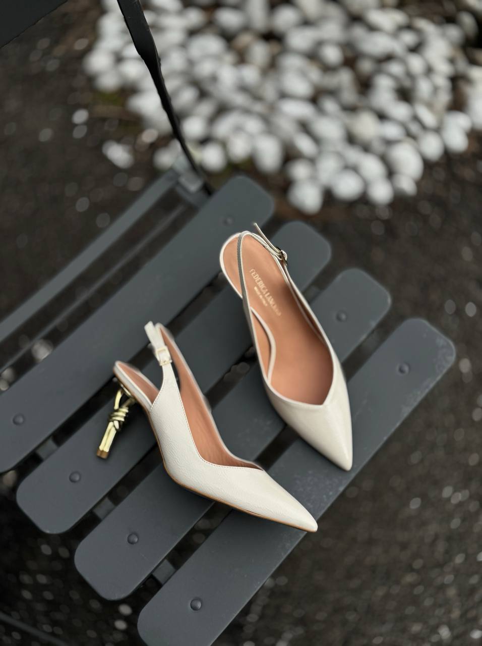 Фото Federica Lancioni