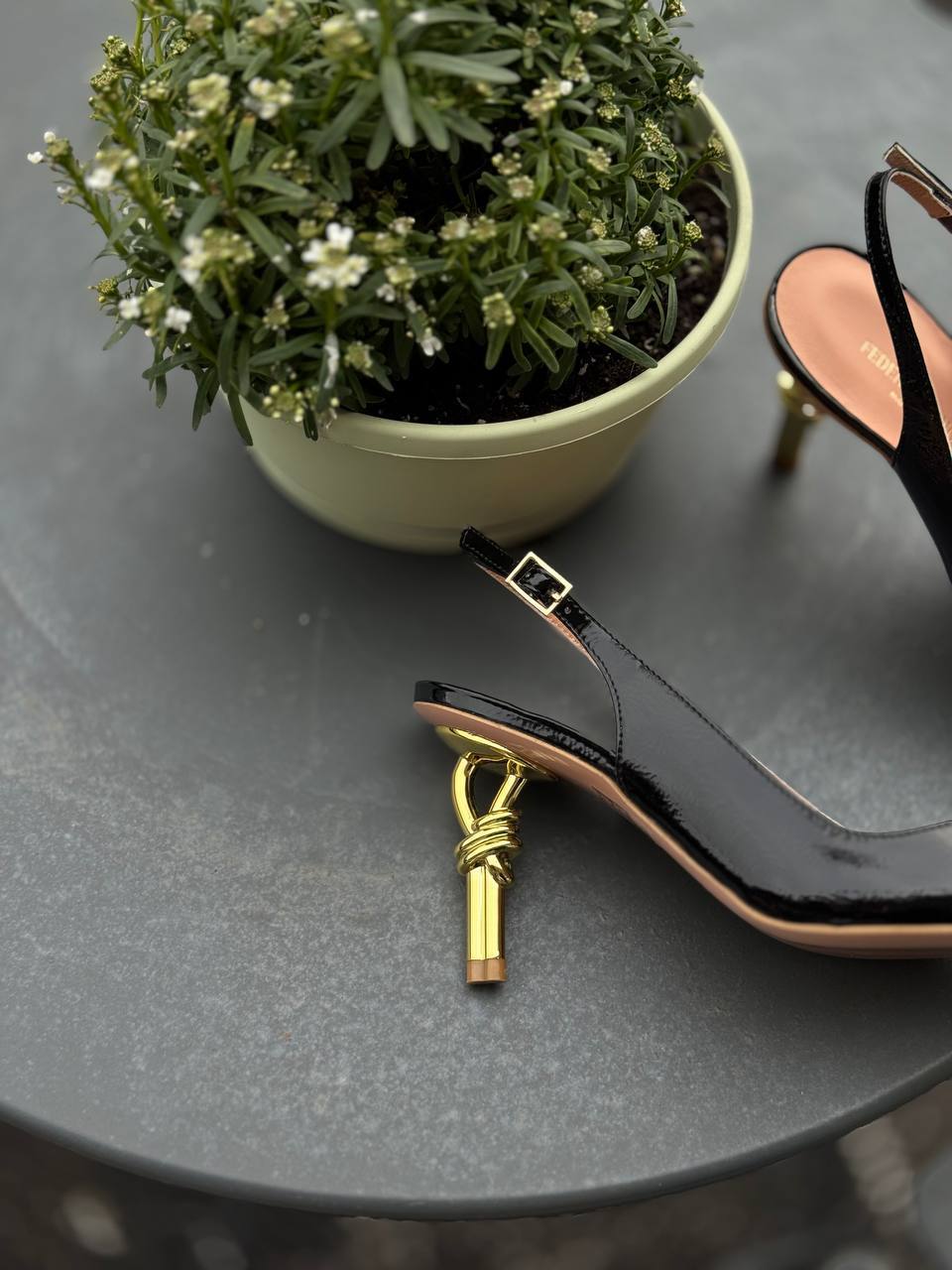 Фото Federica Lancioni