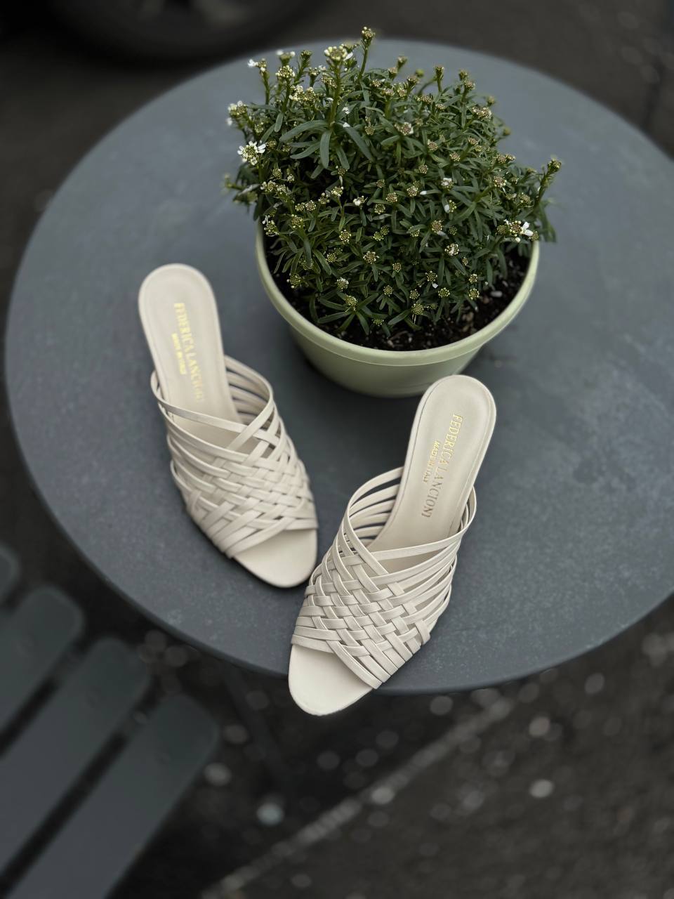 Фото Federica Lancioni