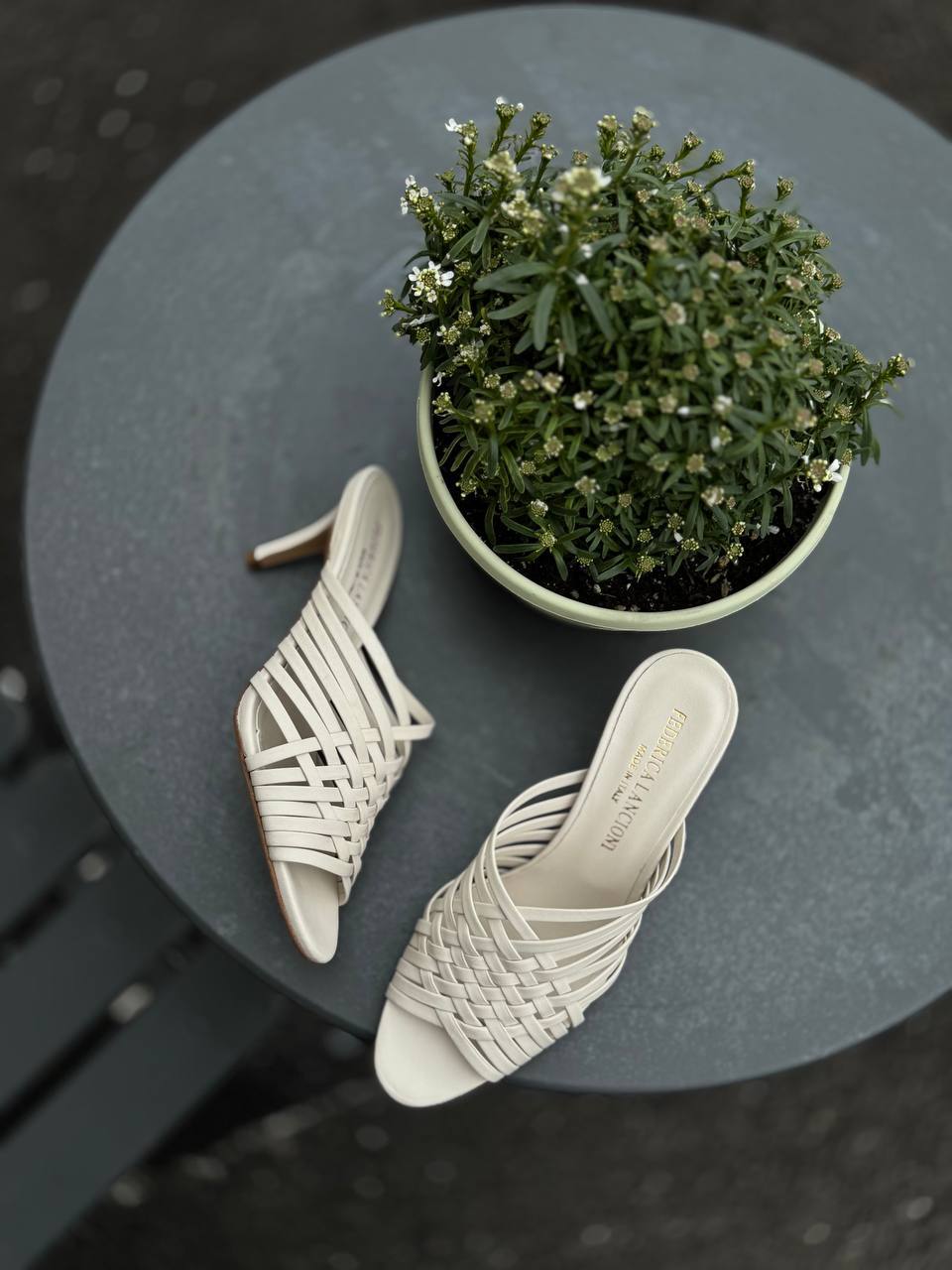 Фото Federica Lancioni