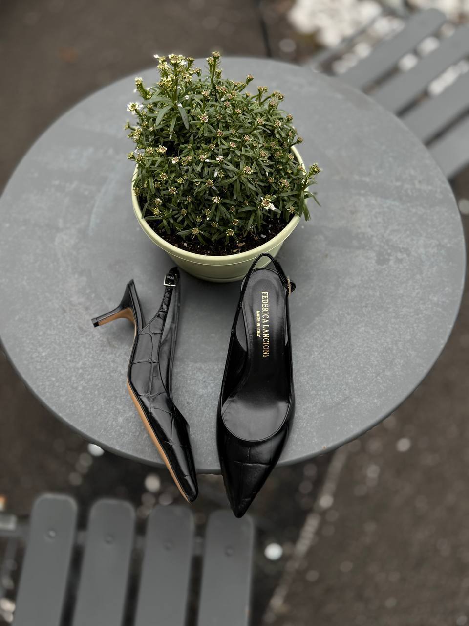 Фото Federica Lancioni