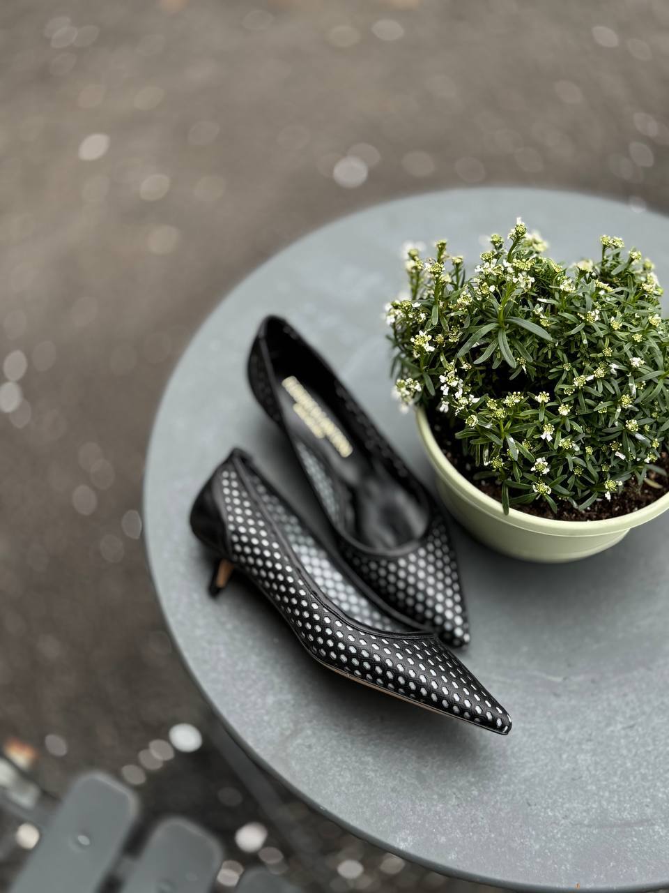 Фото Federica Lancioni