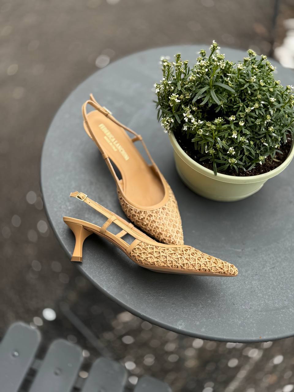 Фото Federica Lancioni