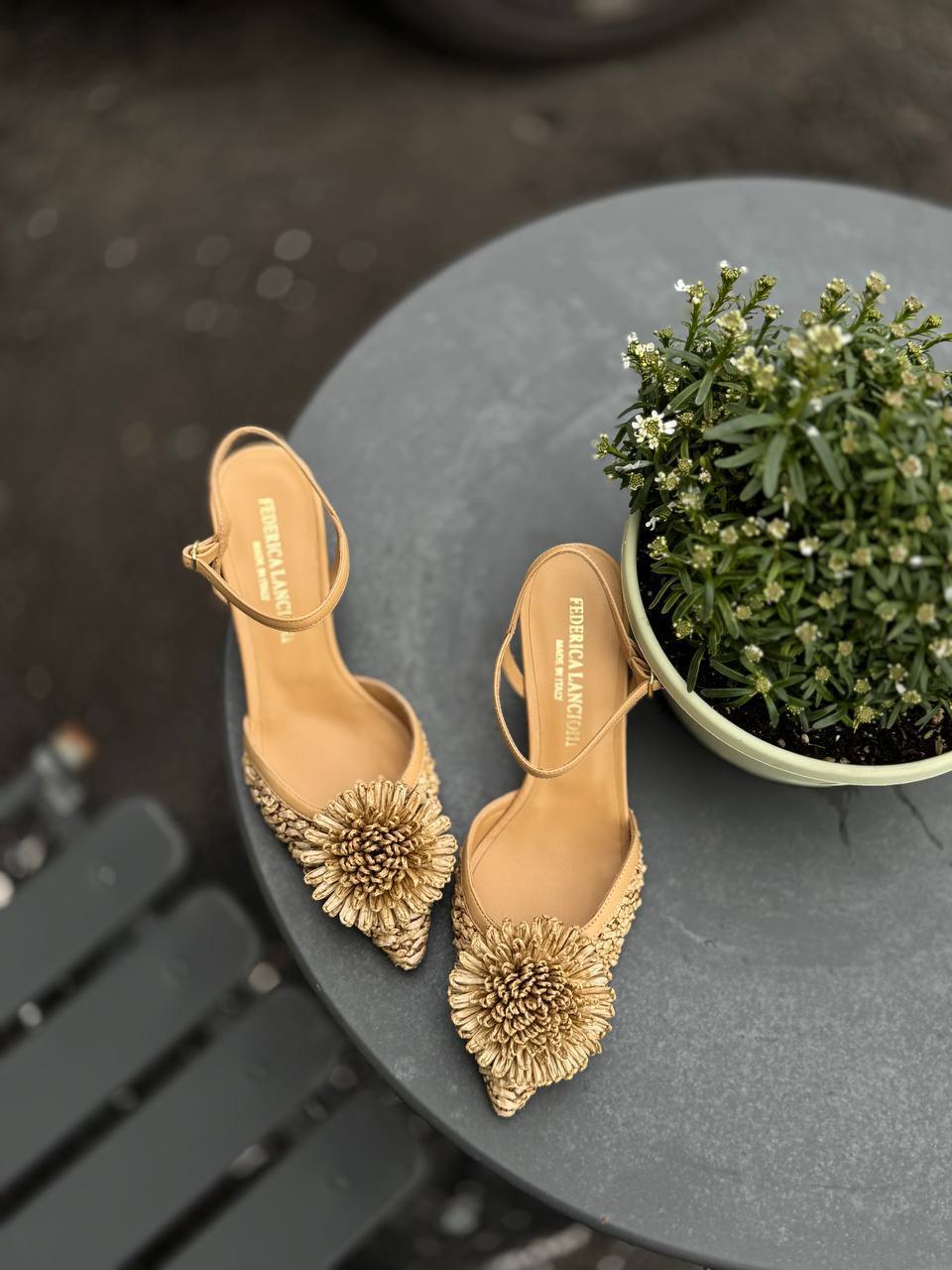 Фото Federica Lancioni